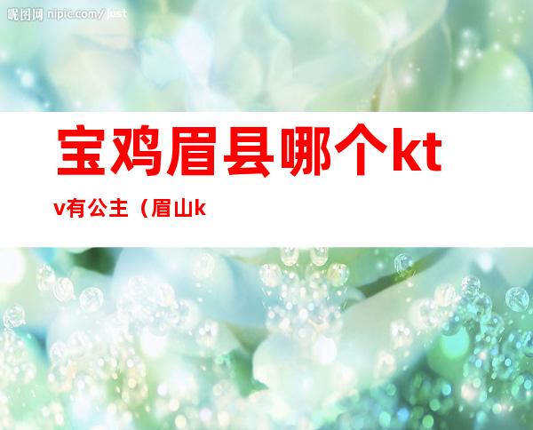 宝鸡眉县哪个ktv有公主（眉山ktv公主出台多少钱）