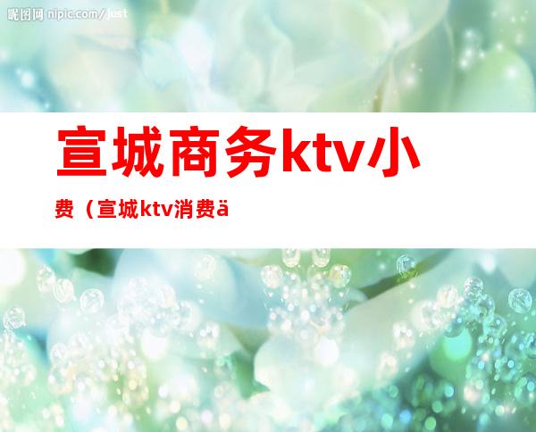 宣城商务ktv小费（宣城ktv消费价格表）