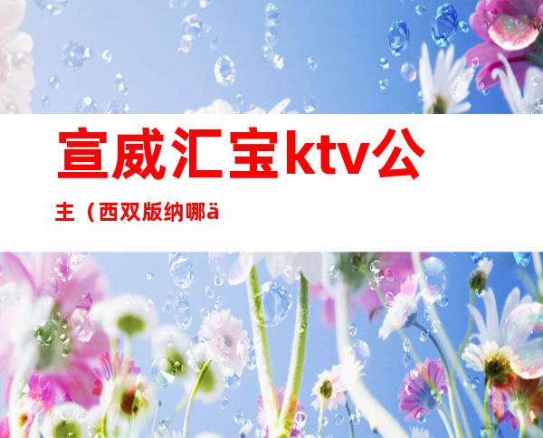 宣威汇宝ktv公主（西双版纳哪个kTV有公主）