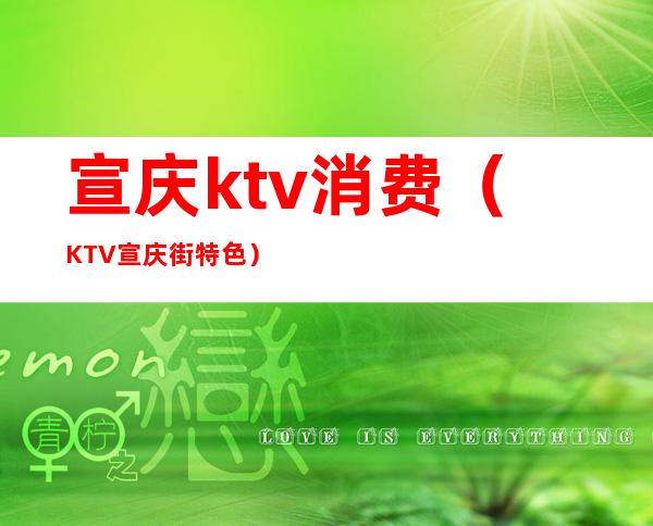 宣庆ktv消费（KTV宣庆街特色）