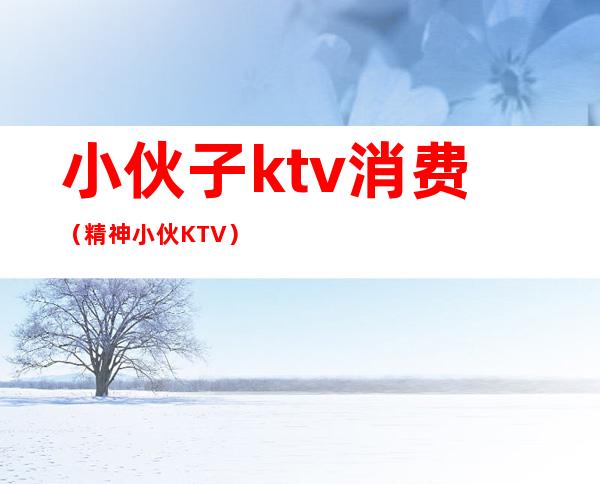 小伙子ktv消费（精神小伙KTV）