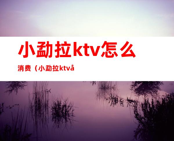 小勐拉ktv怎么消费（小勐拉ktv嗨场陪嗨）