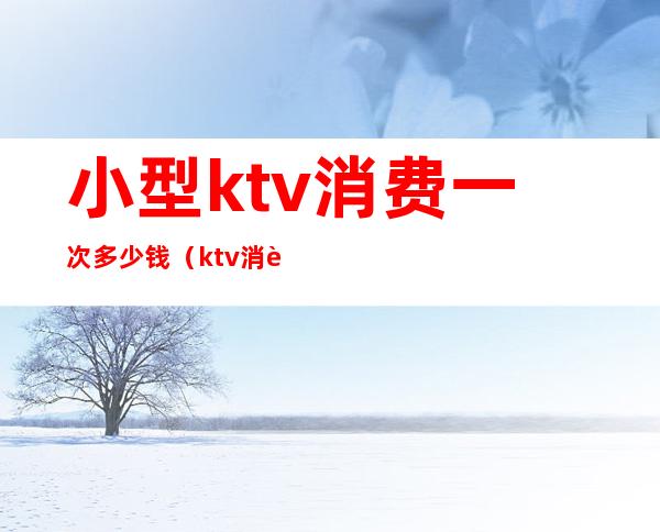 小型ktv消费一次多少钱（ktv消费一般多少钱一位）