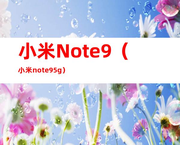 小米Note9（小米note9 5g）