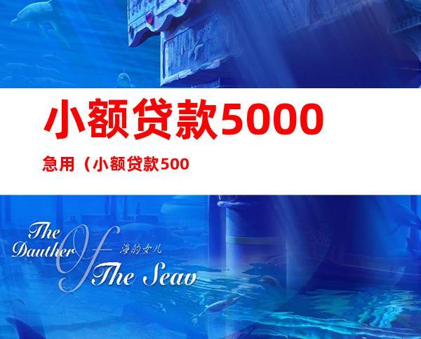 小额贷款5000急用（小额贷款5000急用不看征信2022）