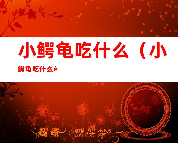 小鳄龟吃什么（小鳄龟吃什么食物）