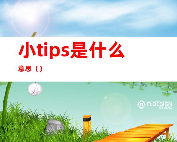 小tips是什么意思（）