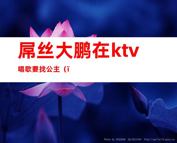 屌丝大鹏在ktv唱歌要找公主（）