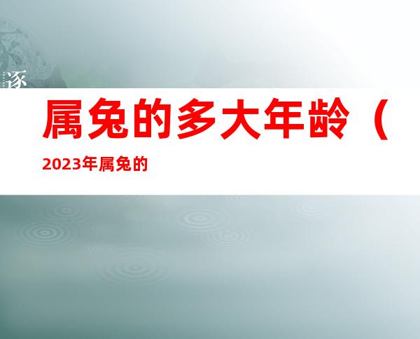 属兔的多大年龄（2023年属兔的多大年龄）