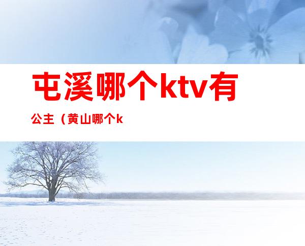 屯溪哪个ktv有公主（黄山哪个ktv有公主）