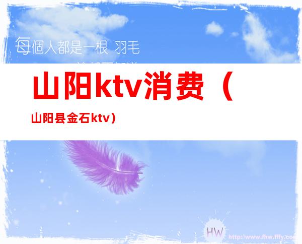 山阳ktv消费（山阳县金石ktv）