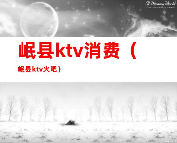 岷县ktv消费（岷县ktv火吧）