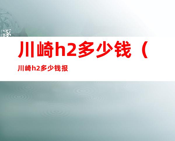 川崎h2多少钱（川崎h2多少钱报价查询）