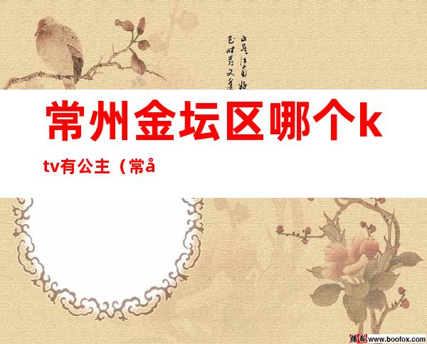 常州金坛区哪个ktv有公主（常州ktv会所招聘公主）