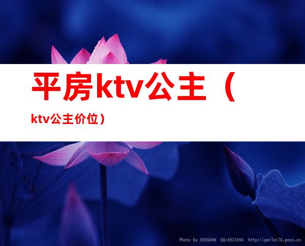 平房ktv公主（ktv公主价位）