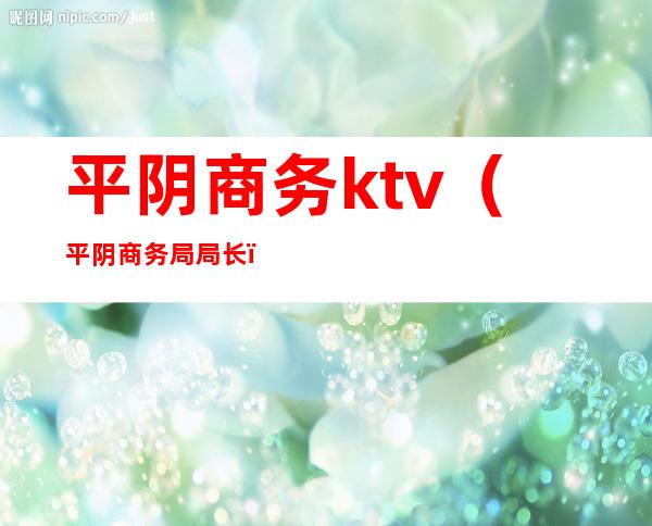 平阴商务ktv（平阴商务局局长）