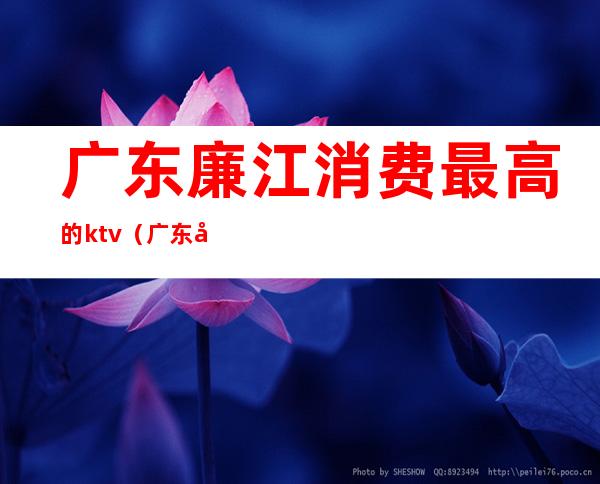 广东廉江消费最高的ktv（广东廉江经济）