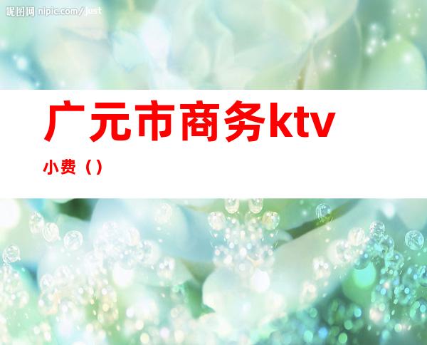 广元市商务ktv小费（）