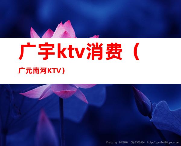 广宇ktv消费（广元南河KTV）