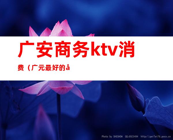 广安商务ktv消费（广元最好的商务ktv）