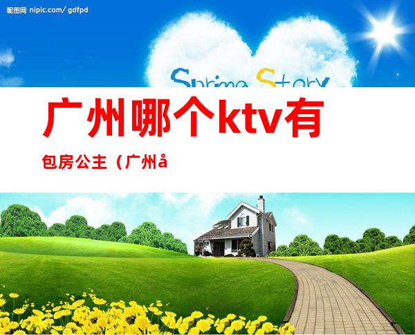 广州哪个ktv有包房公主（广州哪个ktv有包房公主服务）