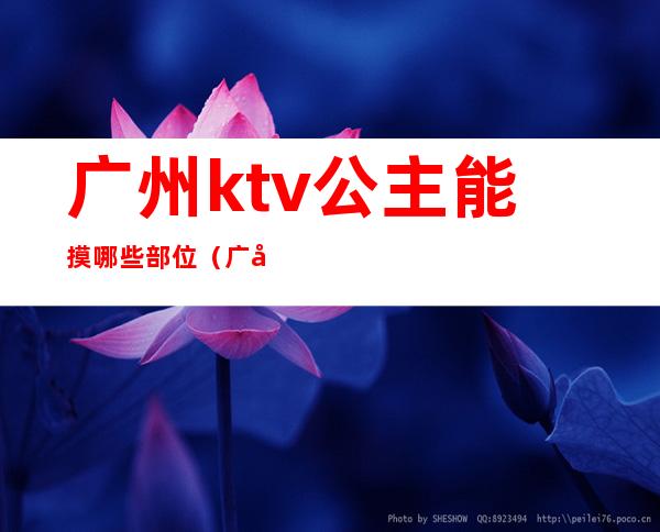 广州ktv公主能摸哪些部位（广州哪里有ktv可以点公主的）