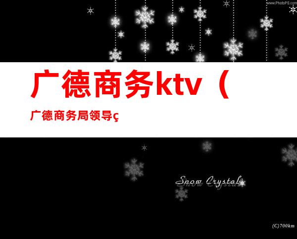 广德商务ktv（广德商务局领导班子）