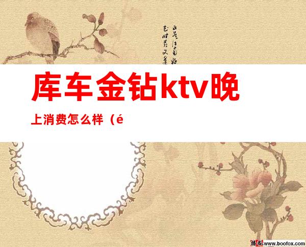 库车金钻ktv晚上消费怎么样（金库ktv攻略）