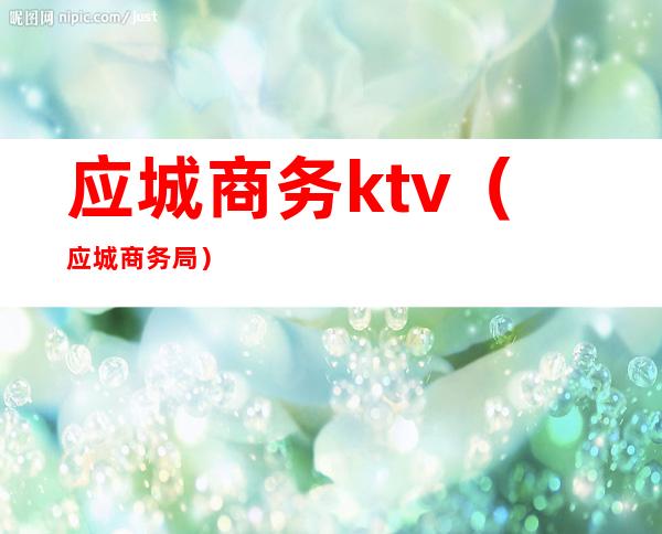 应城商务ktv（应城商务局）