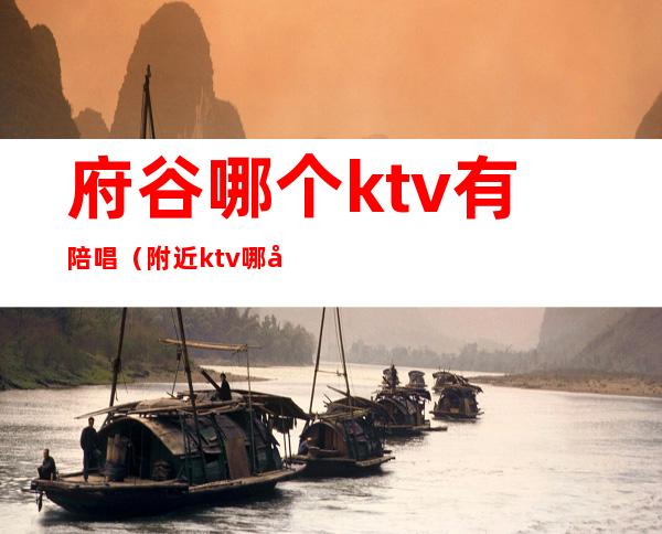 府谷哪个ktv有陪唱（附近ktv哪家有陪唱的）