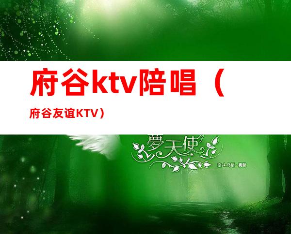 府谷ktv陪唱（府谷友谊KTV）