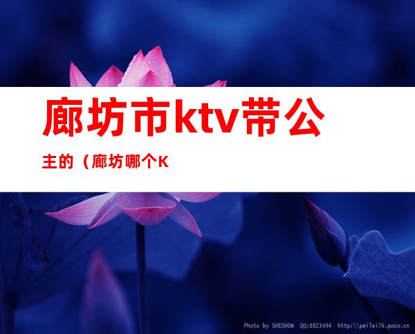 廊坊市ktv带公主的（廊坊哪个KTV有公主）