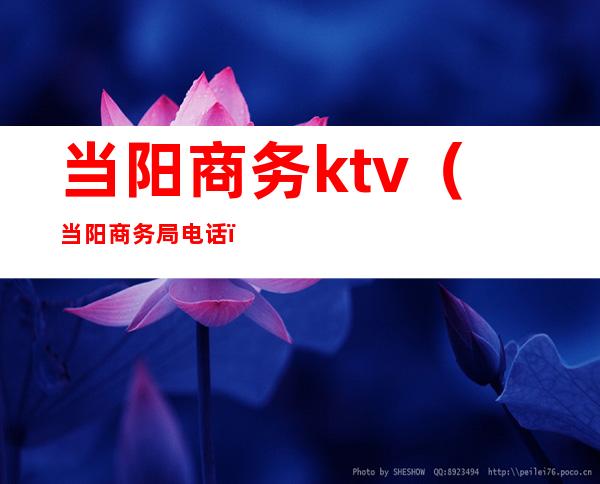 当阳商务ktv（当阳商务局电话）