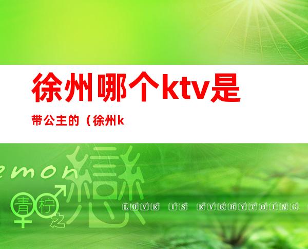 徐州哪个ktv是带公主的（徐州ktv有公主的有哪些）