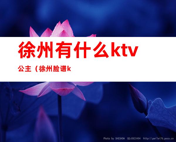 徐州有什么ktv公主（徐州脸谱ktv公主消费）