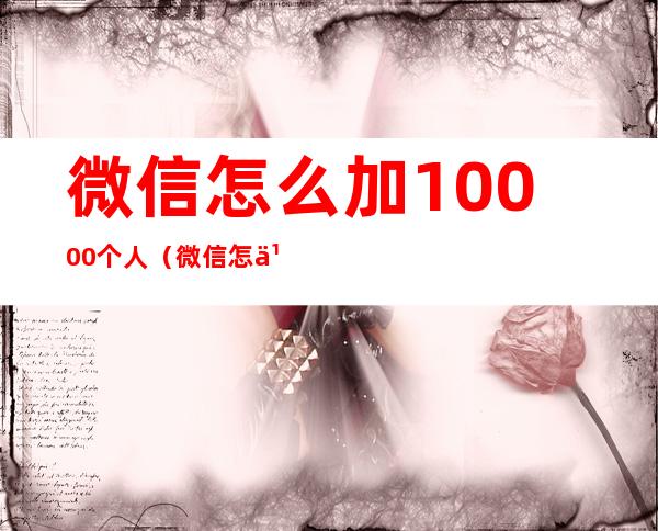 微信怎么加10000个人（微信怎么加10000个人信息）