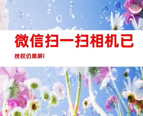 微信扫一扫相机已授权仍黑屏（安卓微信扫一扫相机已授权仍黑屏）