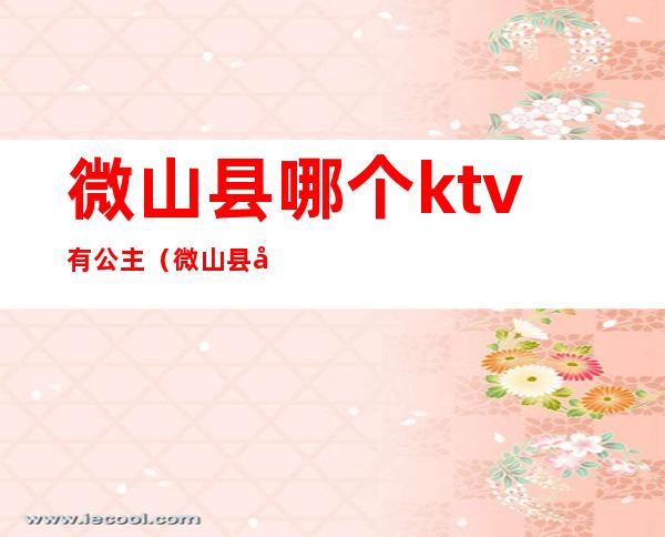 微山县哪个ktv有公主（微山县台北ktv电话号码）