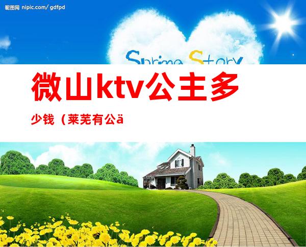 微山ktv公主多少钱（莱芜有公主的ktv）