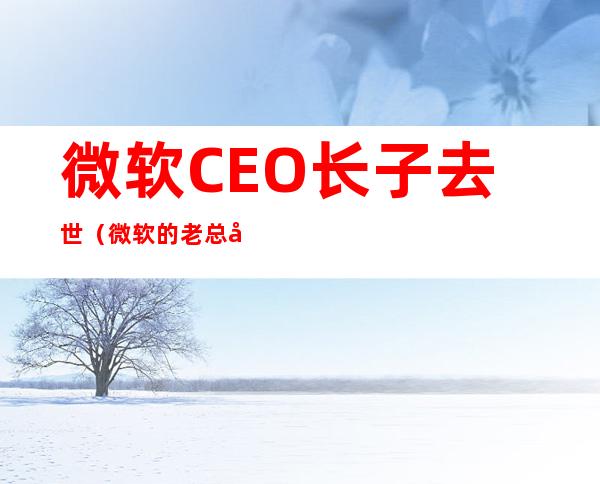 微软CEO长子去世（微软的老总创始人）