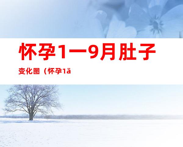 怀孕1一9月肚子变化图（怀孕1一9月肚子变化图真人）