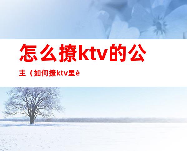 怎么撩ktv的公主（如何撩ktv里面的公主）