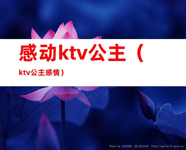 感动ktv公主（ktv公主感情）