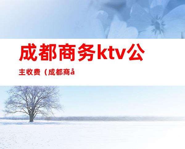 成都商务.ktv公主收费（成都商务KTV预定）