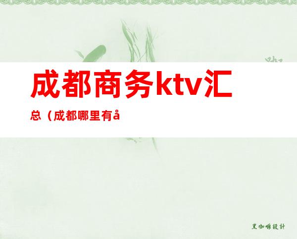 成都商务ktv汇总（成都哪里有商务ktv）