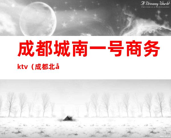 成都城南一号商务ktv（成都北城1号）