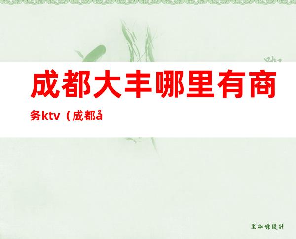 成都大丰哪里有商务ktv（成都大丰购物中心）