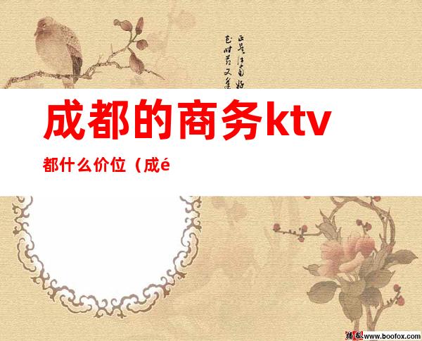 成都的商务ktv都什么价位（成都的商务KTV）