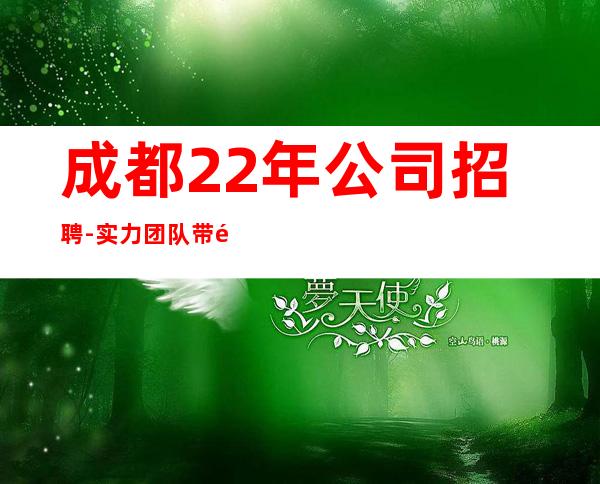 成都22年公司招聘-实力团队带飞