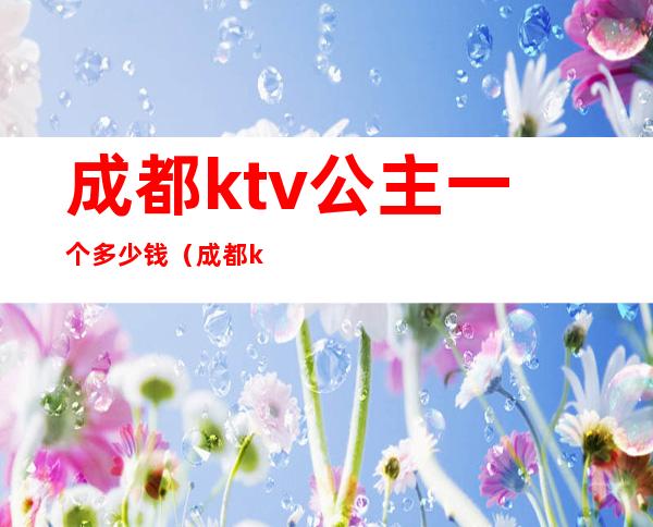 成都ktv公主一个多少钱（成都ktv公主小费多少）